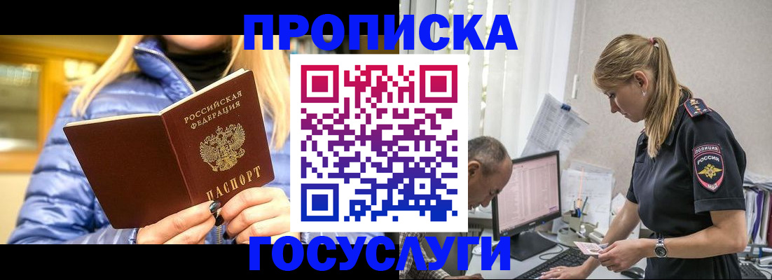 прописка 2025 в Сольцах